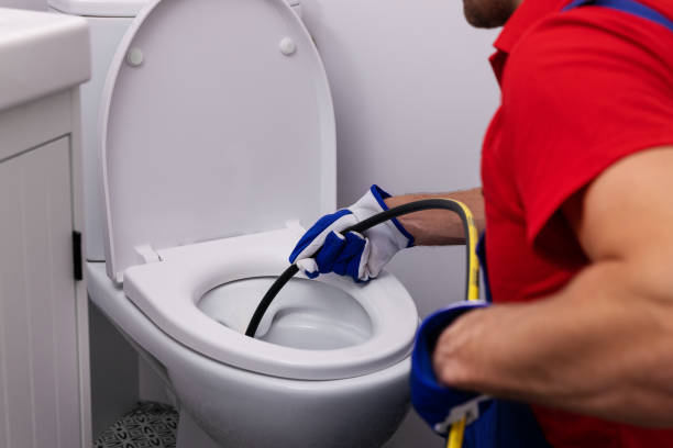 Best Plumbing Services Near Me  in Townsend, DE