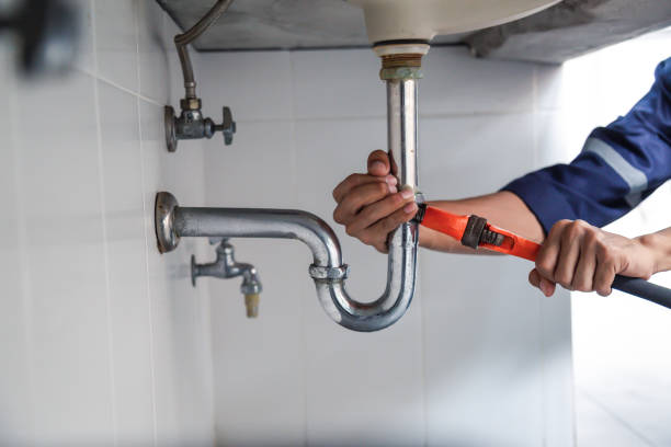 Best Local Plumber Services  in Townsend, DE