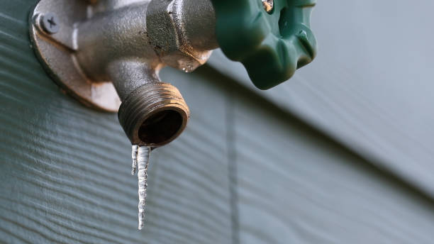 Best Clogged Drain Plumber  in Townsend, DE